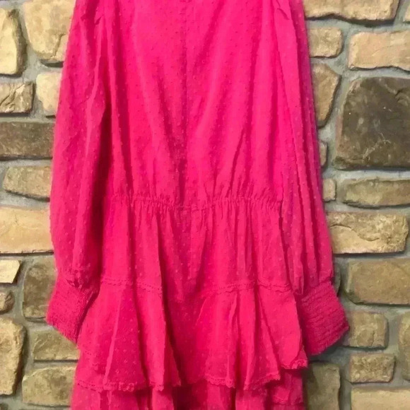 Allison Women's Mini Dress Hot Pink Swiss dot long sleeve ruffles sheer large - Picture 2 of 16